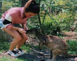 Wampler is an animal lover and enjoys feeding them. She also owns three dogs of breeds Labradoodle Oscar and Phoebe, a Maltipoo.